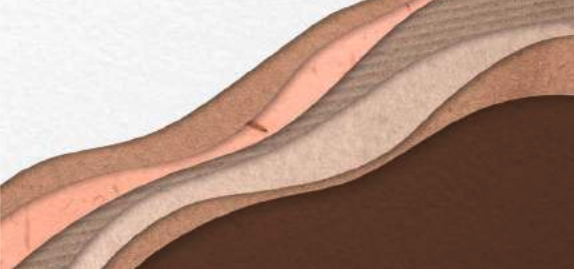 Naudingas melanomos terminų žodynas